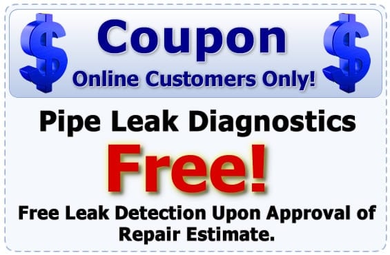 Free Pipe leak diagnostics